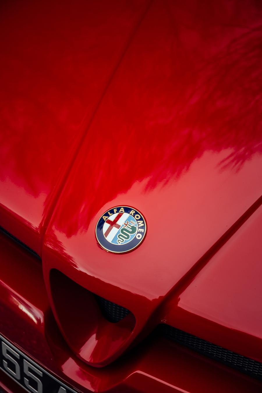 Детали экстерьера Alfa Romeo S.Z. 1989 года  (фото 43 из 86)
